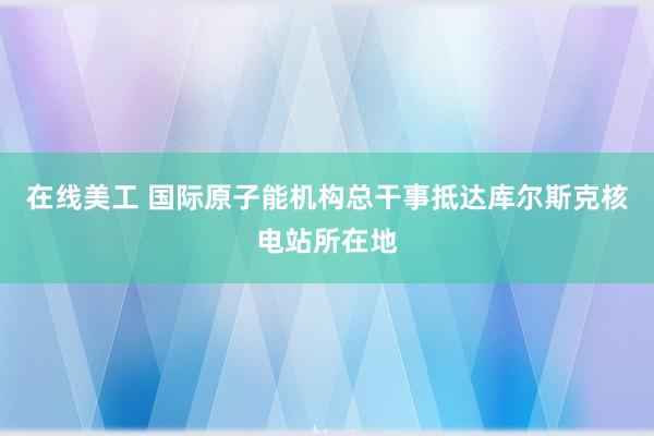 在线美工 国际原子能机构总干事抵达库尔斯克核电站所在地